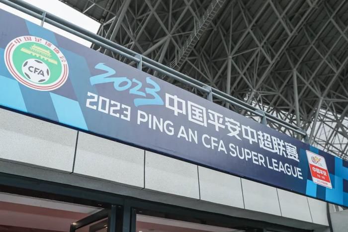 免费国产a国产片高清不卡