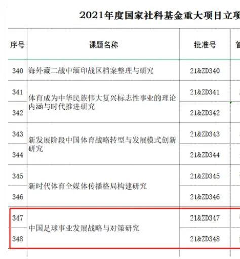 国产亚洲精品成人久久网站