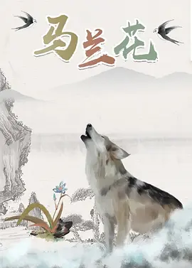 久久精品这里精品