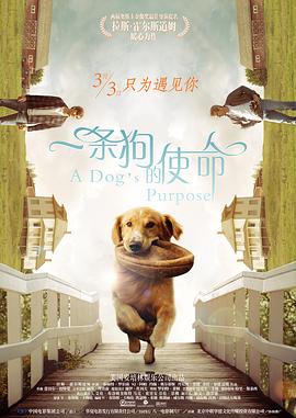 md传媒国产剧