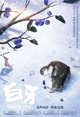 国产一区自拍视频