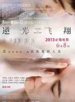 明星们的终结者