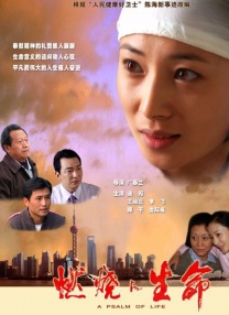 ts人妖丝袜playground