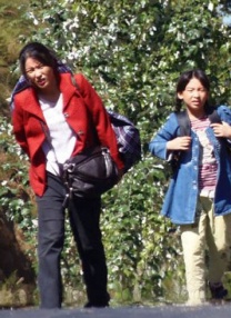欧美日韩精品综合在线