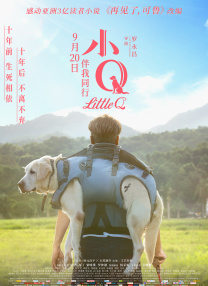一个人看的视频www免费