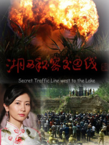 国产精品亚洲综合一区在线观看