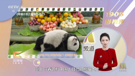 亚洲精品一区二区三区第四页